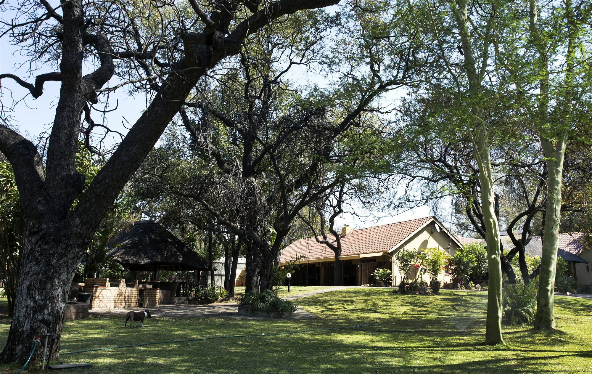 Sunbird Lodge Пхалаборва Экстерьер фото